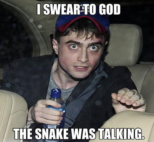 funny-Daniel-Radcliffe-snake-talking