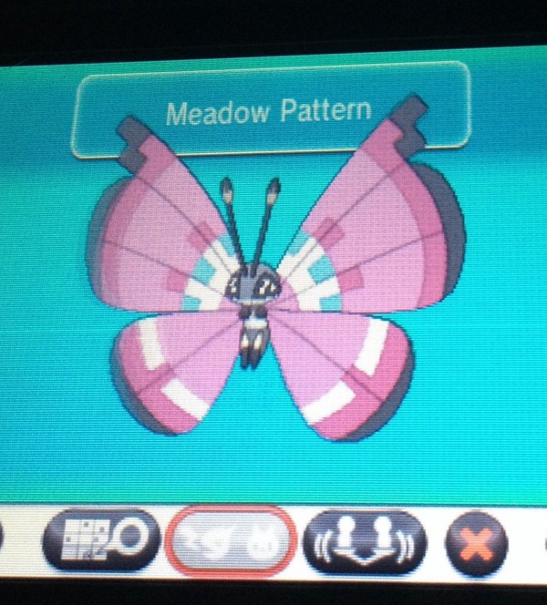 01 meadow Pattern