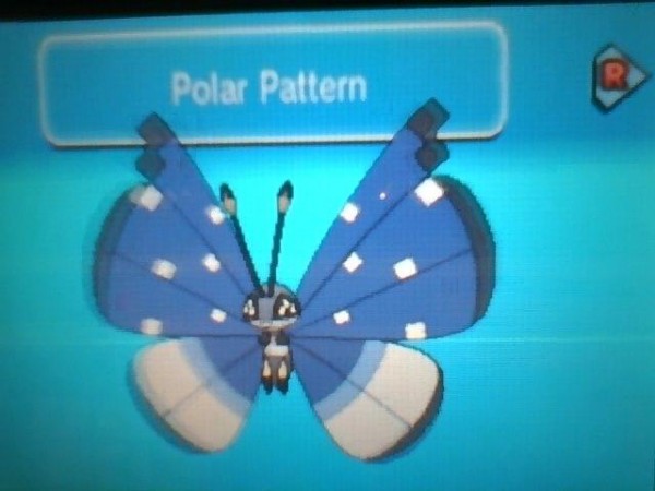 02 polar pattern