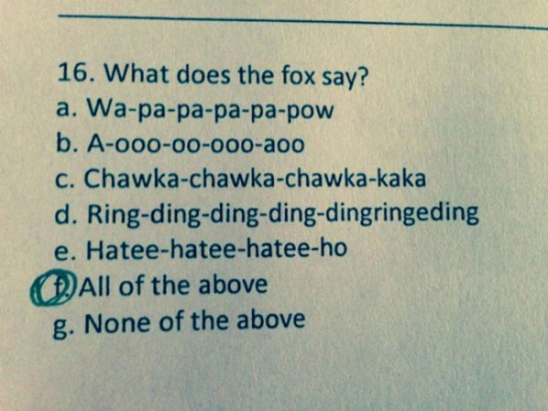 what-does-the-fox-say-test-question